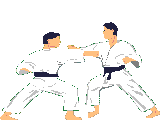 Judo match